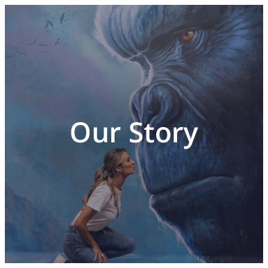 Our Story