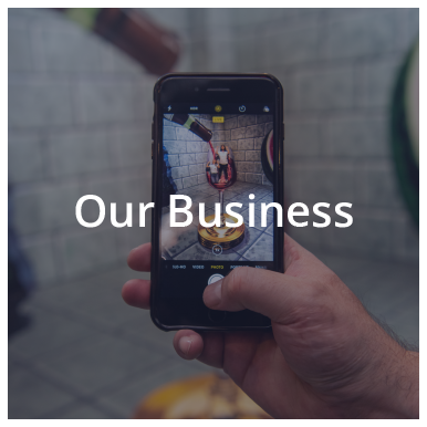 Our Business